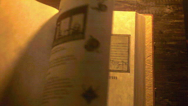 《隐迹渐现(Pentiment)》V1.3.1845(Build20280421)官方中文版[俄网portable 2025.10.08更新10.58G]-影音屋