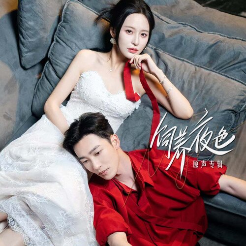 姚冠宇《饲养夜色原声专辑》[320K/MP3][36.47MB]-影音屋