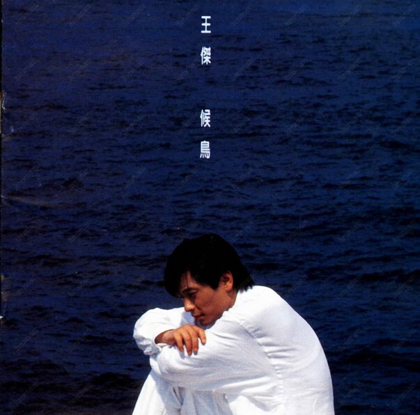 王杰《候鸟》[WAV+CUE][1.1G]-影音屋