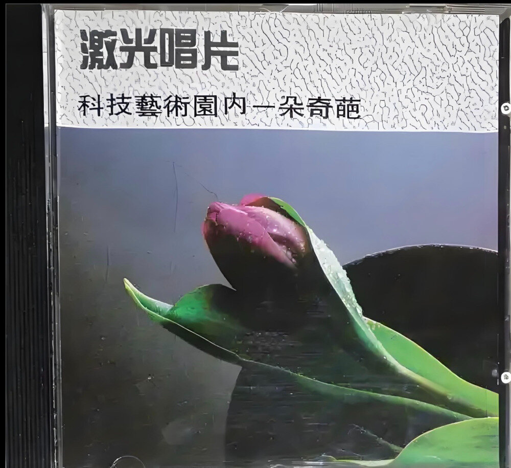 宝丽金群星《巨星荟萃》[WAV+CUE][1.1G]-影音屋