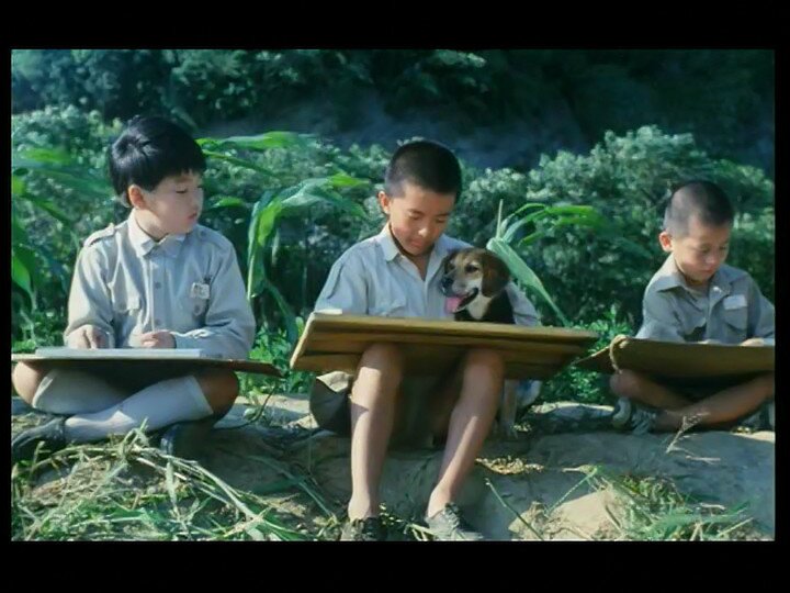 图片[6]-[BT下载][鲁冰花 The.Dull-Ice.Flower][DVD-MKV/1.86GB][华語/中文字幕][720P][DVD RIP][老掉牙]-影音屋