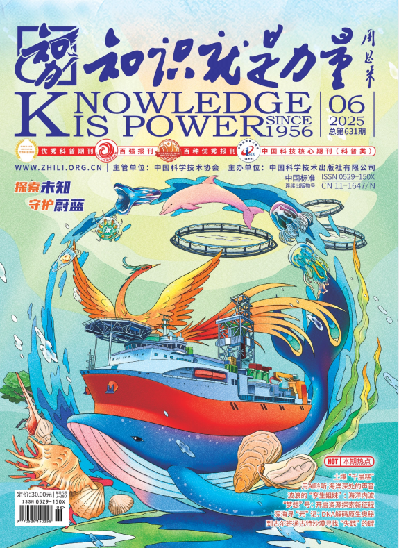 知识就是力量2025合集》[PDF]-影音屋