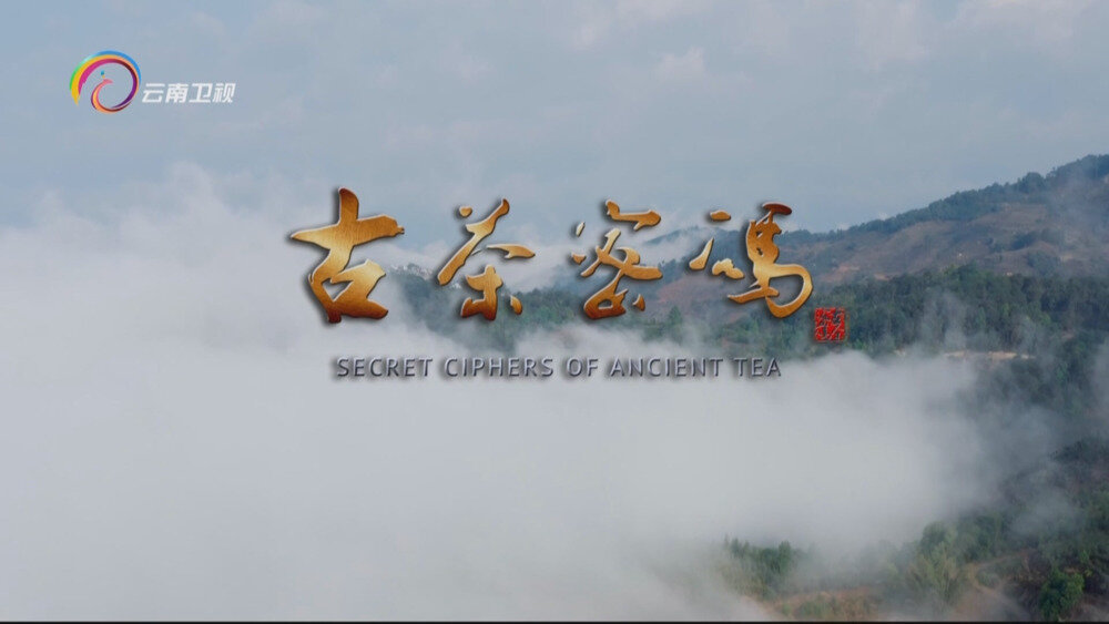 图片[2]-[百度/夸克][云南卫视 古茶密码 全3集 电视源码 20250908][1080I/TS][5.2G]-影音屋