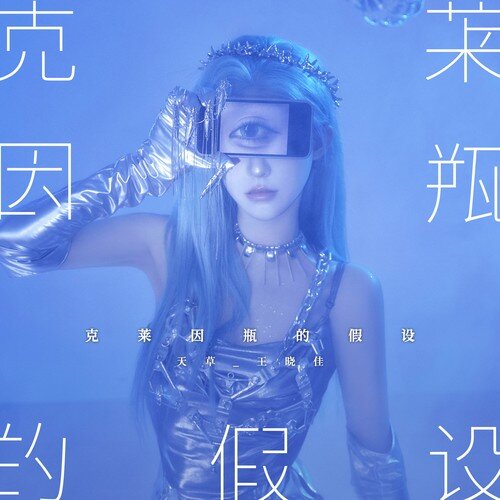 王晓佳《克莱因瓶的假设》[320K/MP3][40.24MB]-影音屋