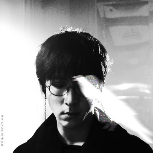 唐汉霄《黑鸟》[24Bit-48kHz][FLAC/分轨][145.4MB]-影音屋