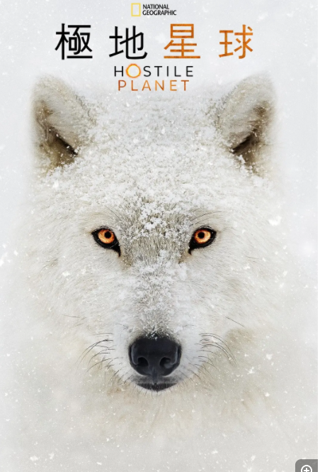 [水深火热的星球][全6集][WEB-MKV/20G][英语中字][1080P][夸克下载]-影音屋