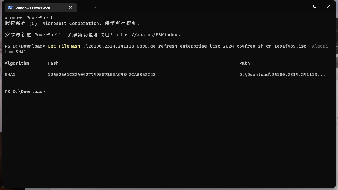 【教程】实测从官方版本的Windows10/11偷渡到Windows 11 IoT LTSC 且 保留应用和配置[无损升级]-影音屋