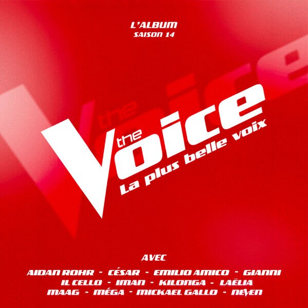 The Voice《The Voice  La plus belle voix》[Hi-Res][24Bit-48kHz][FLAC/分轨][346.75MB]-影音屋