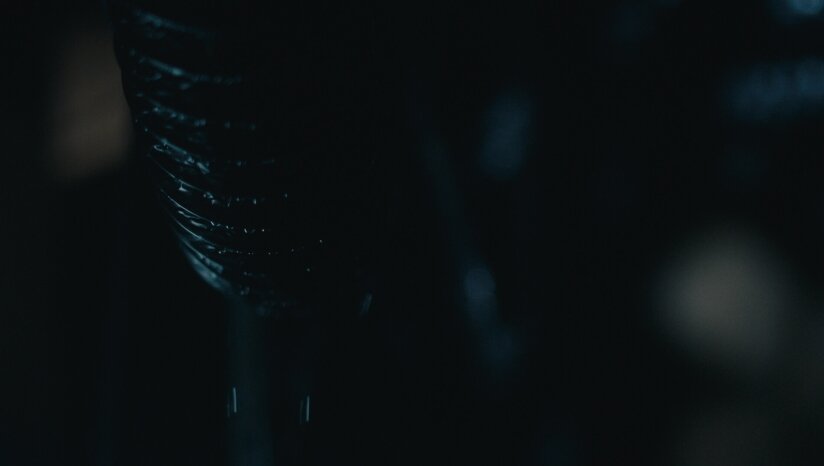 图片[9]-《死亡重启（Dead Reset）》官方中文 DOGE镜像版-影音屋