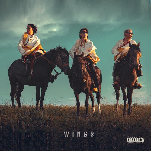 WINGS三人组《草原明星》[320K/MP3][46.41MB]-影音屋