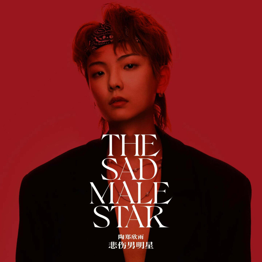 陶郑欣雨《悲伤男明星》[FLAC/分轨][164.68MB]-影音屋