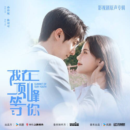 群星《我在顶峰等你 影视原声专辑》[FLAC/分轨][556.86MB]-影音屋