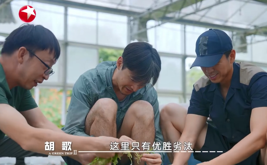 图片[2]-[一路前行 第二季][更至03.1期][WEB-MP4/10G][国语中字][1080P][胡歌 刘涛 刘诗诗][夸克下载]-影音屋