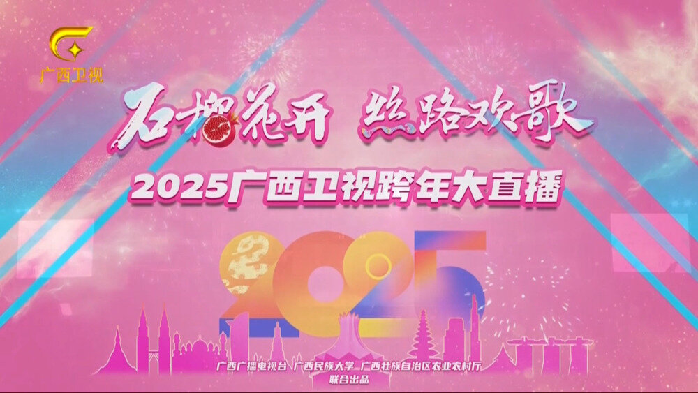 [广西卫视 石榴花开 丝路欢歌  2025广西卫视跨年大直播 20241231][1080I/TS][13.59G]-影音屋