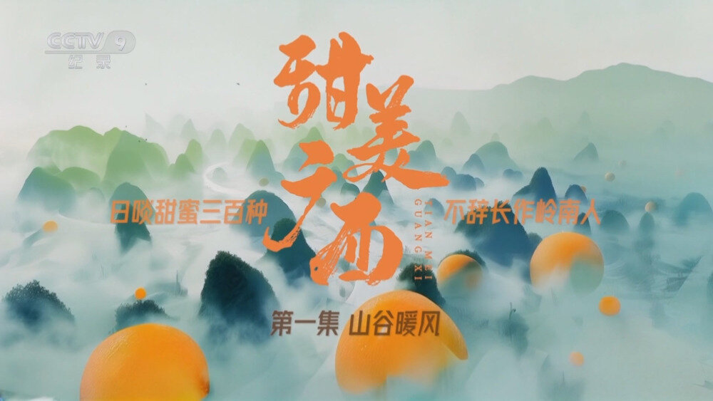 [百度/夸克][CCTV9 甜美广西 全6集 电视源码 20250930][1080I/TS][8.88G]-影音屋