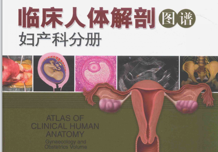 《女性解剖图谱》（彩图版）[PDF]-影音屋