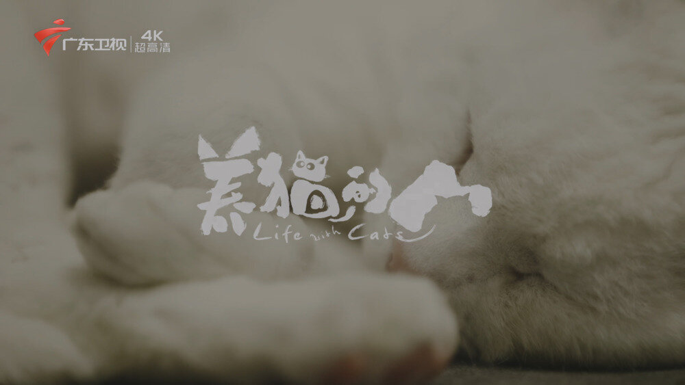 [百度/夸克][广东卫视4K 养猫的人 全6集 电视源码 20250910][2160I/TS][69.86G]-影音屋