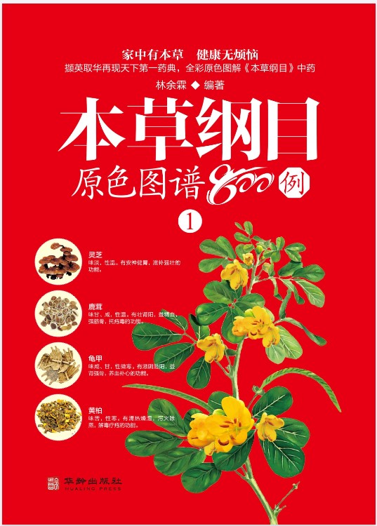 《本草纲目原色图谱800例》套装4册 800种常用药物[pdf]-影音屋