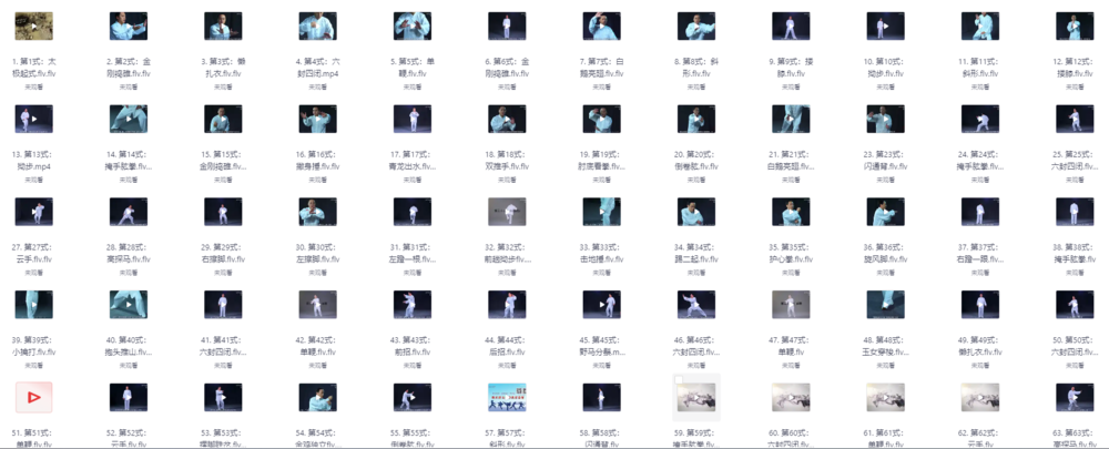 太极拳 视频教程 养生必备 [共74势][MP4] [1.8GB]-影音屋