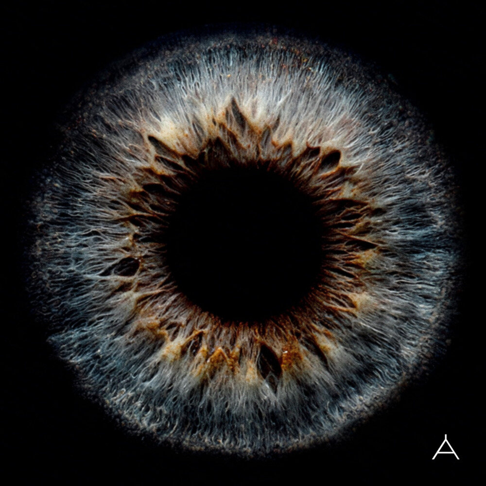 林宥嘉《Apples of Thy Eye》[24Bit-48kHz][FLAC/分轨][541.27MB]-影音屋