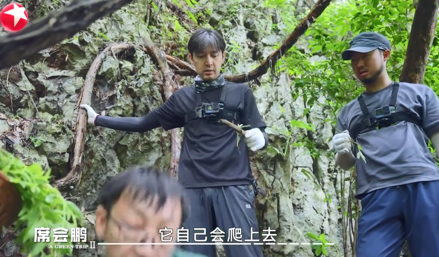 图片[4]-[一路前行 第二季][更至03.8期][WEB-MP4/10G][国语中字][1080P][胡歌 刘涛 刘诗诗][夸克下载]-影音屋