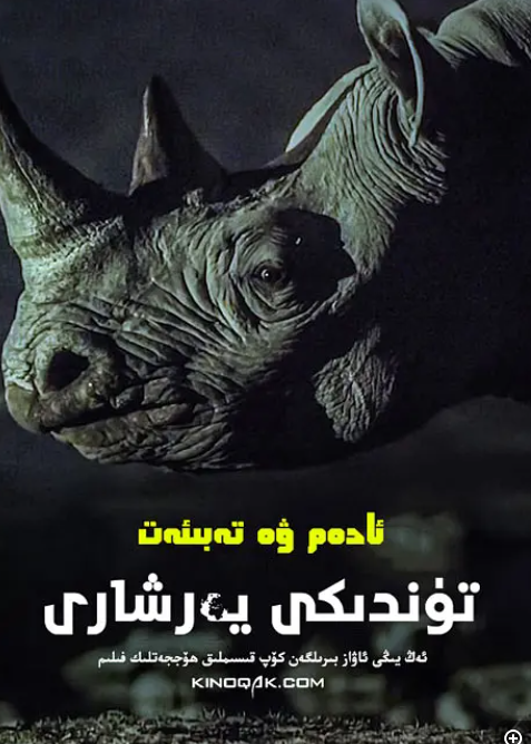 [地球的夜晚][全6集][WEB-MKV/15G][英语中字][4K-2160P][夸克下载]-影音屋