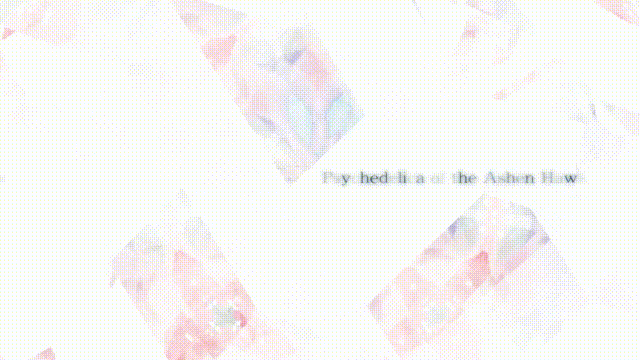 《灰鹰幻境(Psychedelica Of The Ashen Hawk)》V1.0官方中文版[俄网Пиратка 2025.08.04更新4.5G]-影音屋