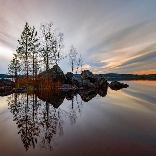 疗愈音律《夏日田野蛙声阵阵 助眠休憩缓解焦虑白噪音》[FLAC/分轨][341.54MB]-影音屋