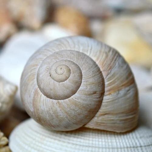 疗愈音律《请你务必自己拯救自己 治愈向充能纯音乐》[16Bit-48kHz][FLAC/分轨][242.9MB]-影音屋