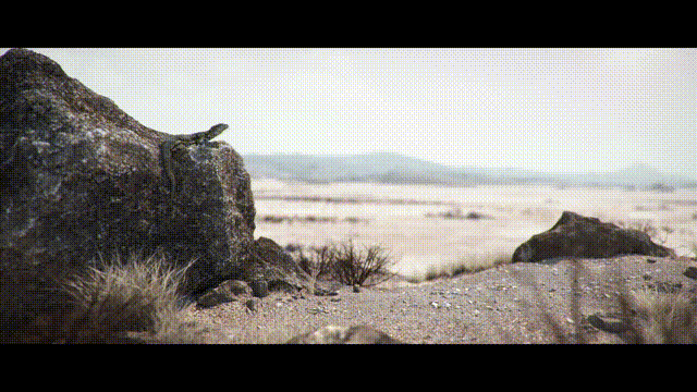 《飙酷车神1(The Crew 1)》V1.2.0.0官方中文版[俄网Portable 2025.09.15更新23.83G]-影音屋