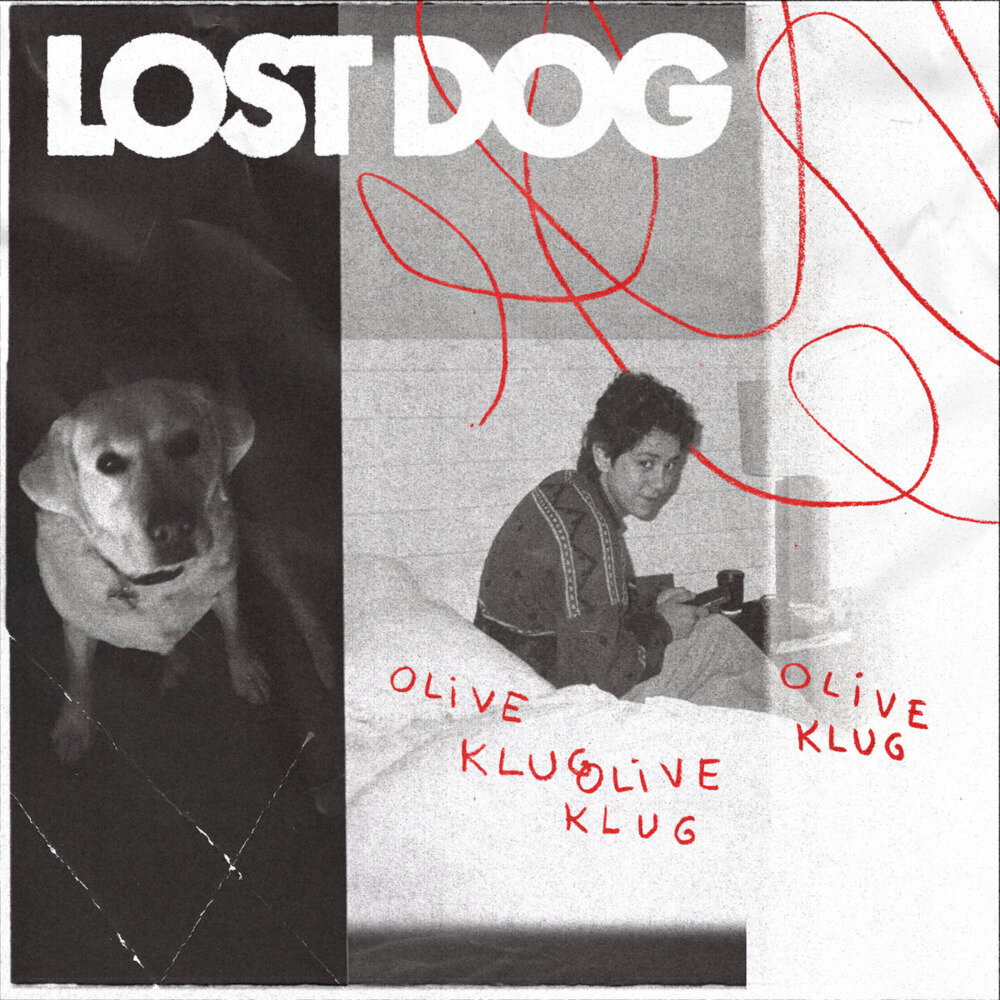 Olive Klug《Lost Dog》[24Bit-44.1kHz][FLAC/分轨][317.71MB]-影音屋