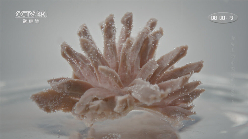 图片[3]-[百度/夸克][CCTV4K 舌尖上的中国 第四季 全7集 电视源码 50fps 5.1声道 20250820][2160I/TS][89.13G]-影音屋