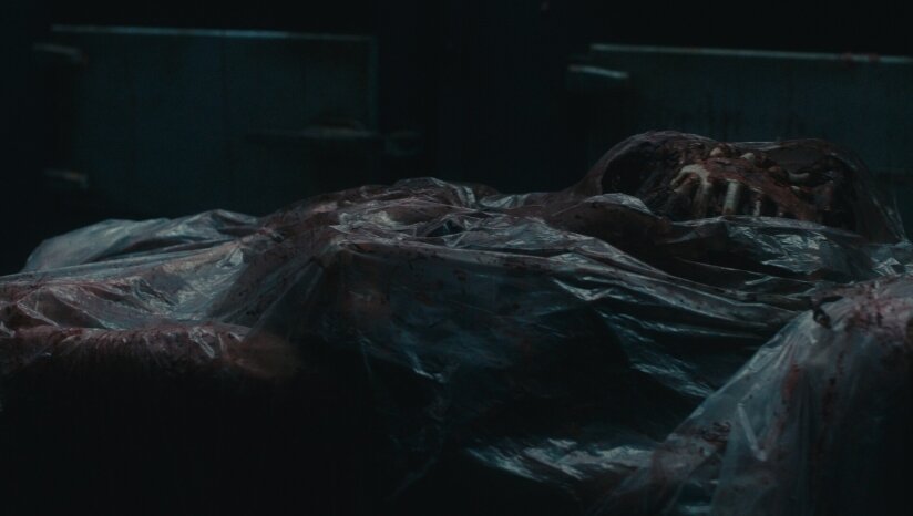 图片[6]-《死亡重启（Dead Reset）》官方中文 DOGE镜像版-影音屋