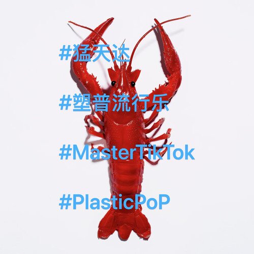 猛天达《塑普流行乐 (Plastic Pop)》[320K/MP3][98.15MB]-影音屋