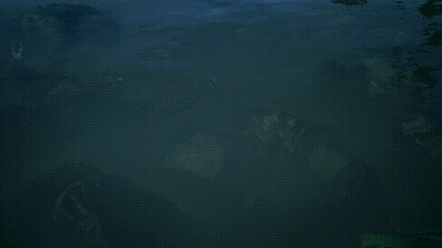 《地狱即我们(Hell Is Us)》V1.4.22.43941官方中文版[俄网let'splay 2025.09.23更新24.77G]-影音屋