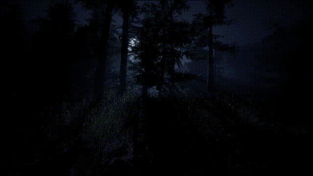 《森林6174(Forest 6174)》Build19378140官方版[俄网selezen 2025.08.01更新4.52G]-影音屋