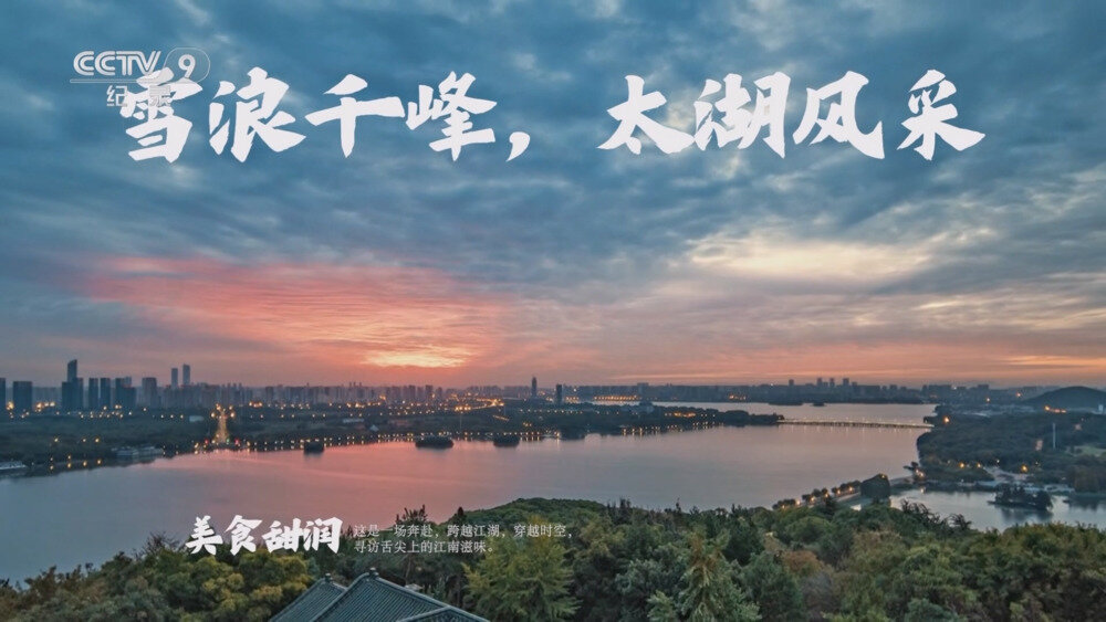 [百度/夸克][CCTV9 食鲜江南 全6集 电视源码  20250822][1080I/TS][9.27G]-影音屋