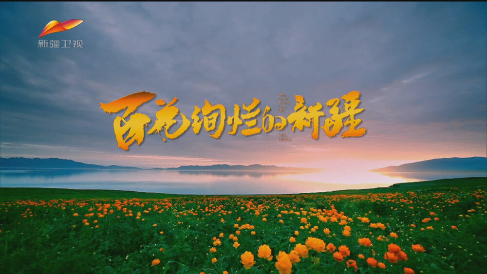 图片[3]-[百度/夸克][新疆卫视 百花绚烂的新疆 全4集 电视源码 20250930][1080I/TS][6.35G]-影音屋