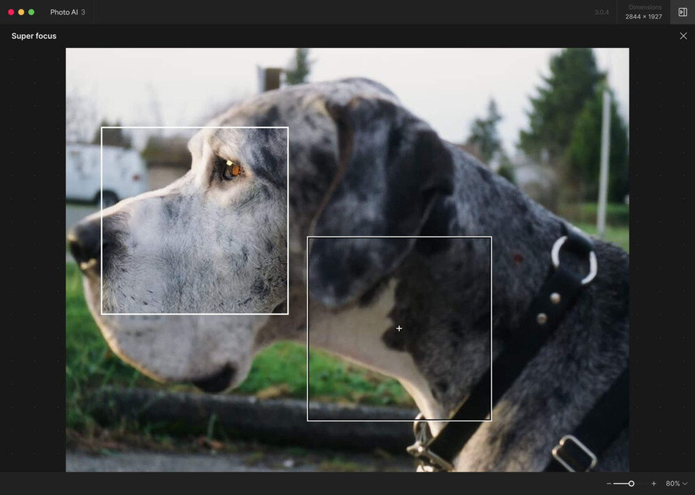图片[2]-Topaz Photo AI-v3.6.0-Stable-Portable绿化便携式破解版[AI图片增强工具]-影音屋