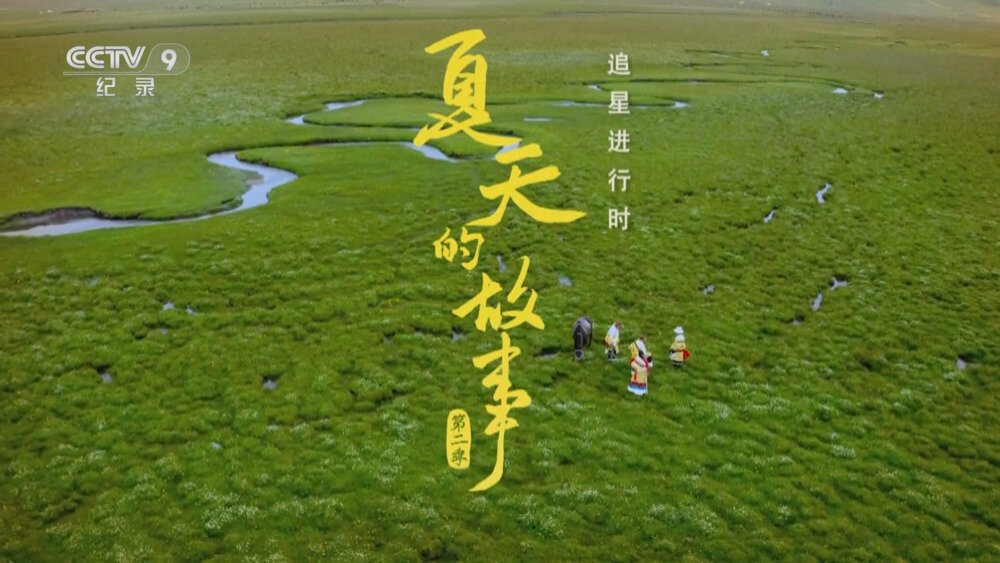 [百度/夸克][CCTV9 夏天的故事Ⅱ 全10集 电视源码 20250807][1080I/TS][9.6G]-影音屋