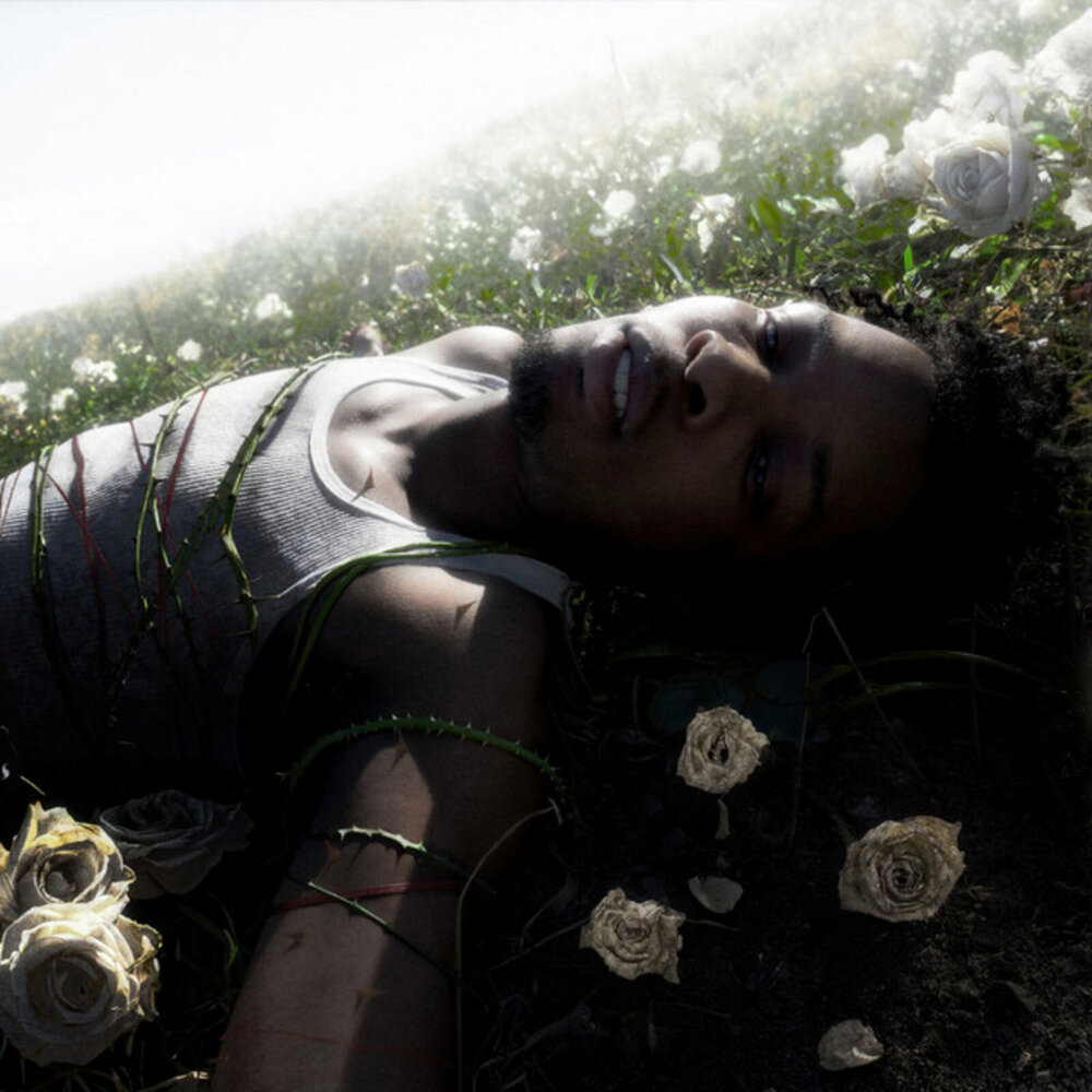 d4vd《WITHERED》[Hi-Res][24Bit-96kHz][FLAC/分轨][1.01G]-影音屋