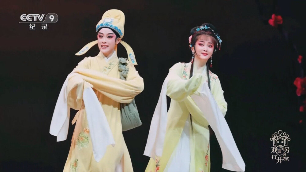 图片[4]-[百度/夸克][CCTV9 戏曲的另一种打开方式 全6集 电视源码 20250930][1080I/TS][5.59G]-影音屋
