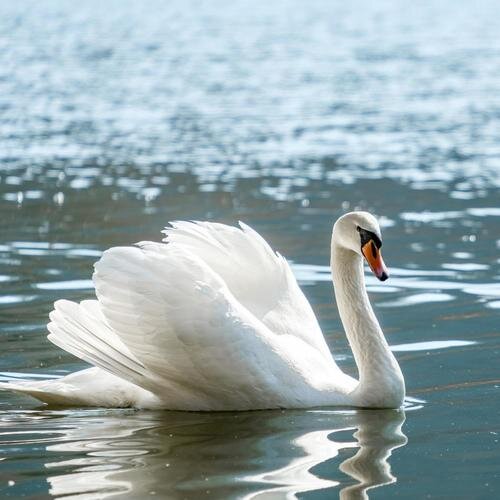 夏小桃《心灵疗愈 舒缓安抚放松治愈轻音乐》[320K/MP3][129.02MB]-影音屋