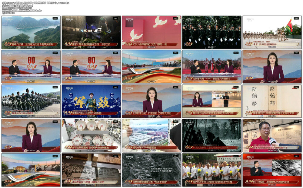 图片[2]-[百度/夸克][CCTV13 纪念抗战80周年特别节目《胜利日2》20250902][1080I/TS][5.76G]-影音屋