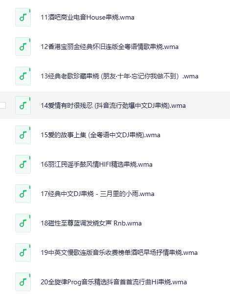 图片[2]-《开车不犯困·超好听 音乐串烧》20CD[WMA][3G]-影音屋