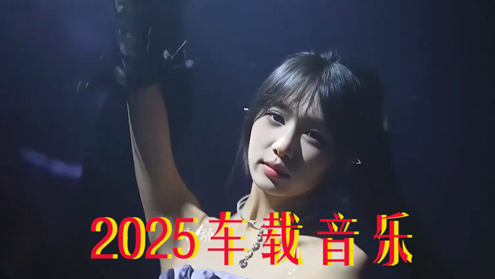 《2025车载U盘无损音乐》含歌词 已做好分类 [wav/mp3/mp4][76.9GB]-影音屋