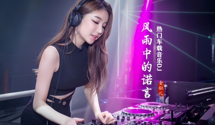 DJ《2025年车载必备326首抖音DJ嗨曲精选合集》[MP3/WAV/分轨][11.7G]-影音屋