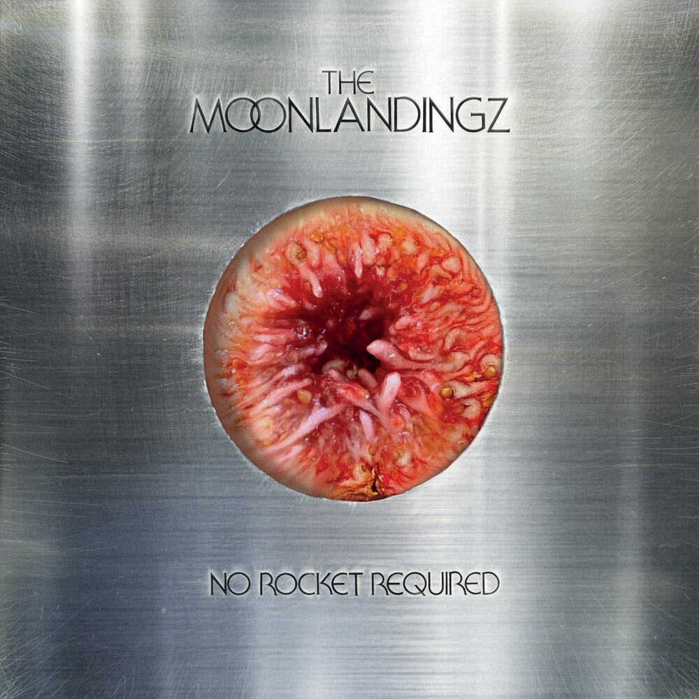 The Moonlandingz《No Rocket Required》[24Bit-44.1kHz][FLAC/分轨][417.59MB]-影音屋