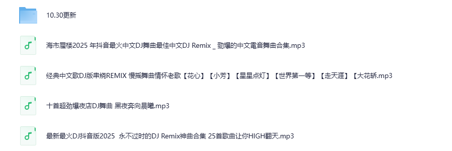 《2025全中文舞曲串烧中文舞曲，精选百余首热门舞曲[MP3][602.3MB]-影音屋