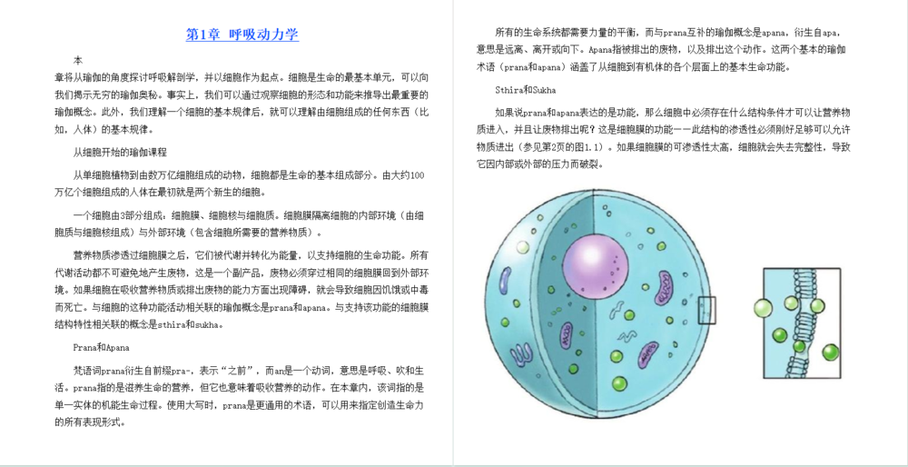图片[2]-瑜伽解剖学（ 全彩图解第2版 ）[epub]-影音屋